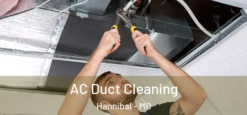  AC Duct Cleaning Hannibal - MO
