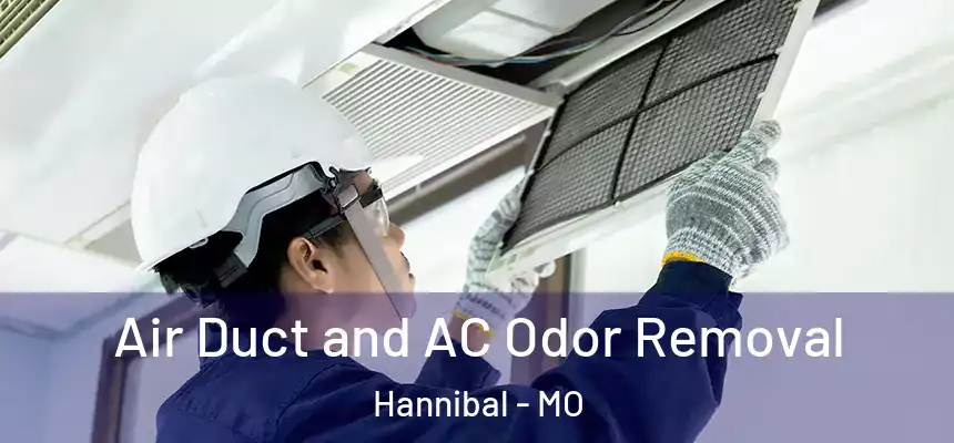  Air Duct and AC Odor Removal Hannibal - MO