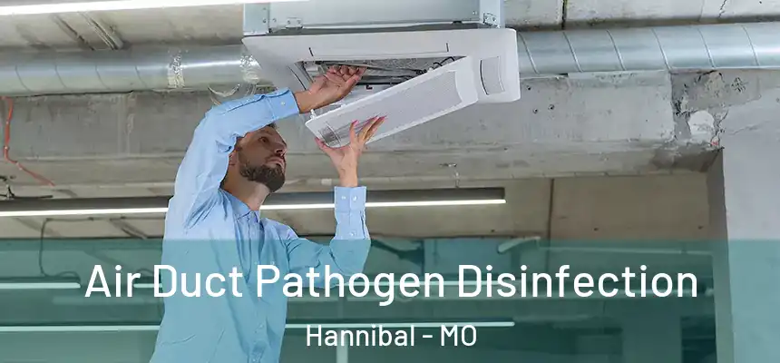  Air Duct Pathogen Disinfection Hannibal - MO