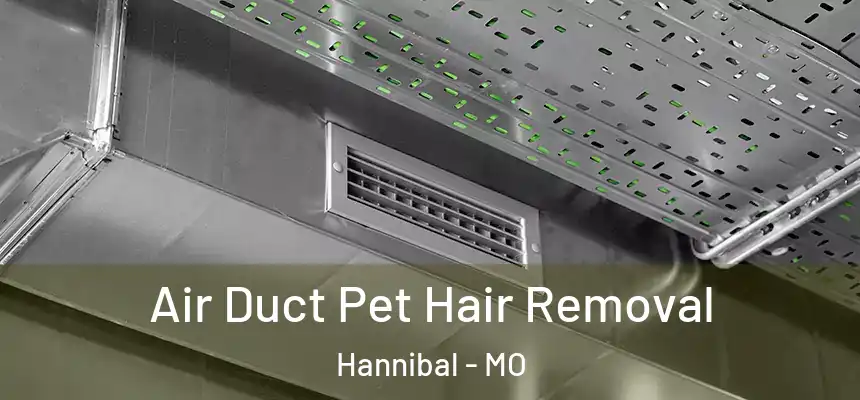  Air Duct Pet Hair Removal Hannibal - MO