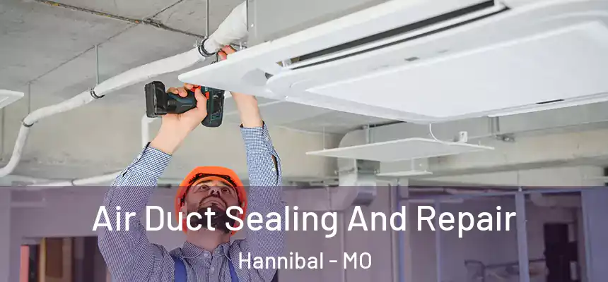  Air Duct Sealing And Repair Hannibal - MO
