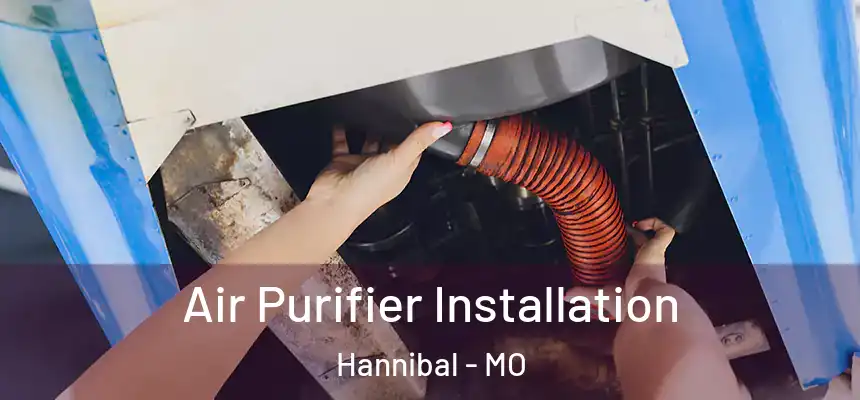  Air Purifier Installation Hannibal - MO
