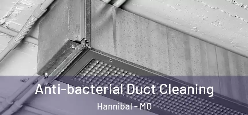  Anti-bacterial Duct Cleaning Hannibal - MO