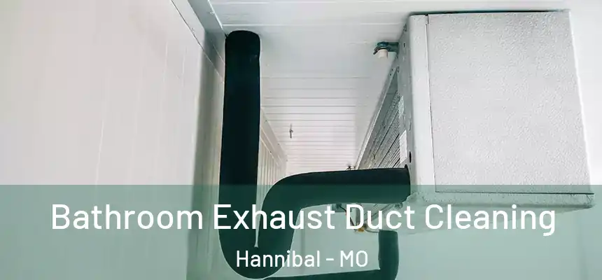  Bathroom Exhaust Duct Cleaning Hannibal - MO