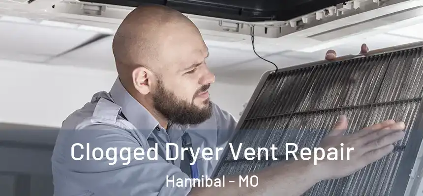  Clogged Dryer Vent Repair Hannibal - MO