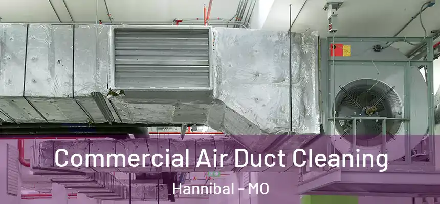  Commercial Air Duct Cleaning Hannibal - MO