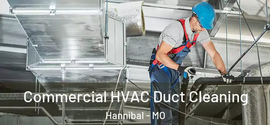  Commercial HVAC Duct Cleaning Hannibal - MO