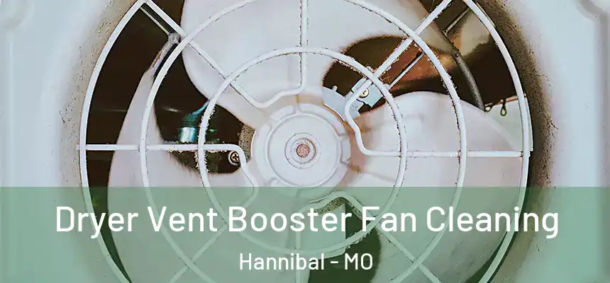  Dryer Vent Booster Fan Cleaning Hannibal - MO