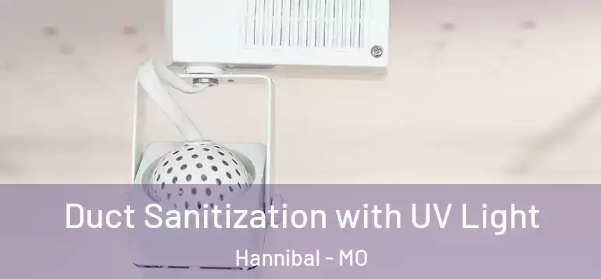  Duct Sanitization with UV Light Hannibal - MO