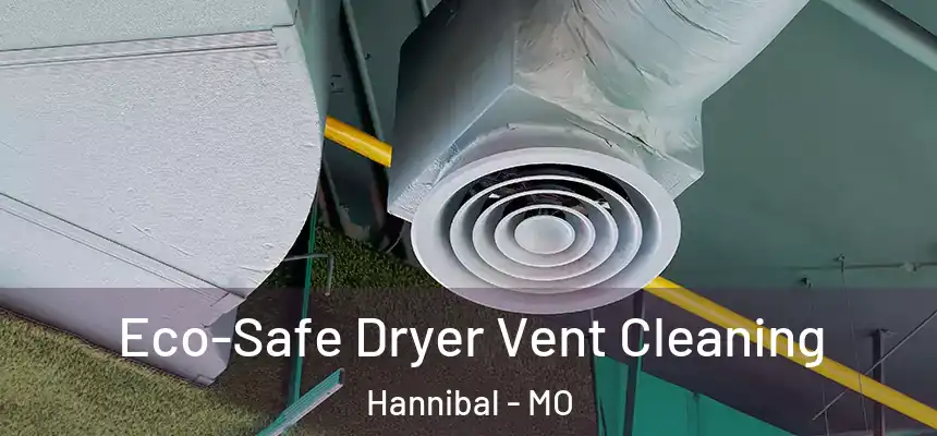  Eco-Safe Dryer Vent Cleaning Hannibal - MO