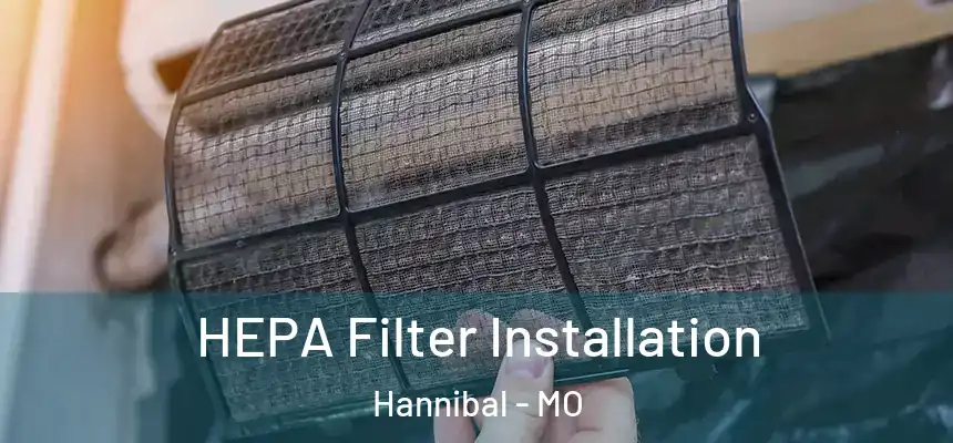  HEPA Filter Installation Hannibal - MO