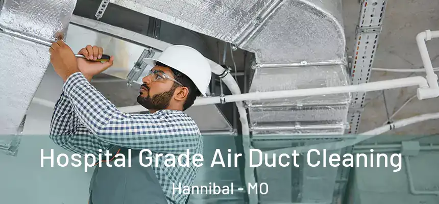  Hospital Grade Air Duct Cleaning Hannibal - MO