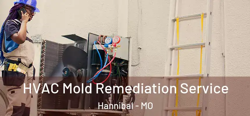  HVAC Mold Remediation Service Hannibal - MO