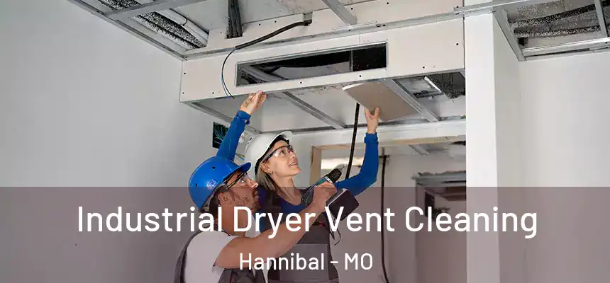  Industrial Dryer Vent Cleaning Hannibal - MO