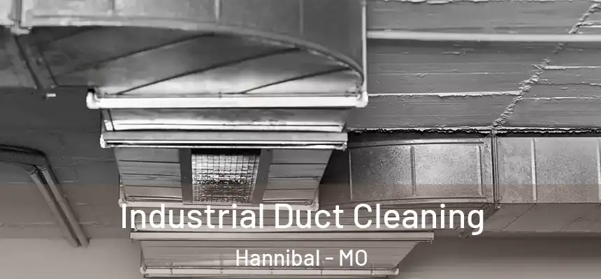  Industrial Duct Cleaning Hannibal - MO