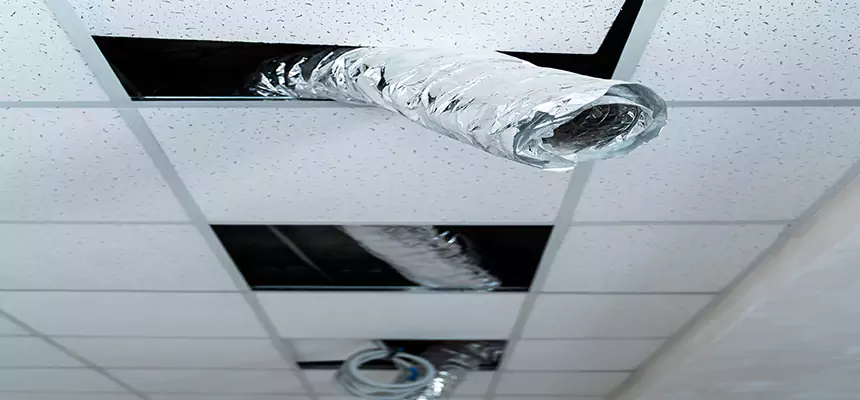 Affordable HVAC Sanitizing After Pest Removal in Hannibal