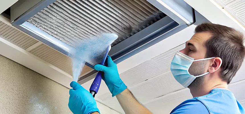 Proactive Dryer Vent & Auxiliary Duct Pollen Cleanup in Hannibal, MO
