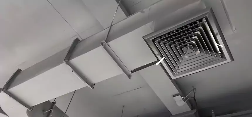 Restorative Allergy Relief Vent Cleaning – Coil, Blower & Housing Detail in Hannibal