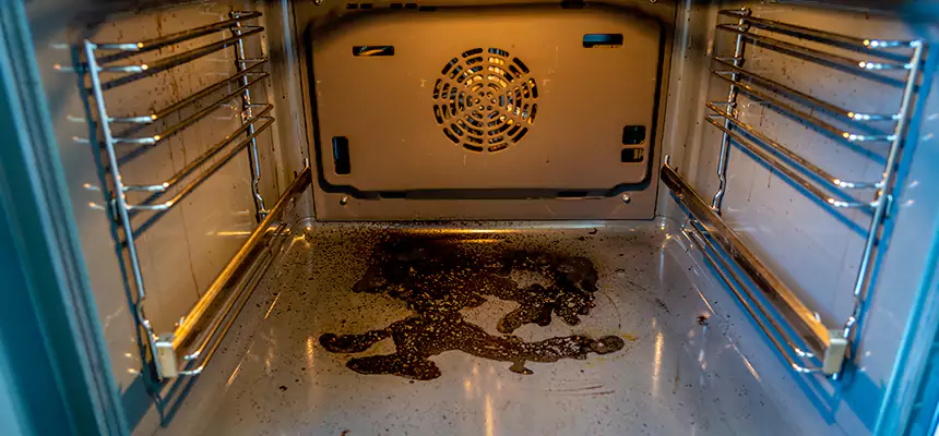 Our Dryer Vent Mold Cleaning Services in Hannibal, MO