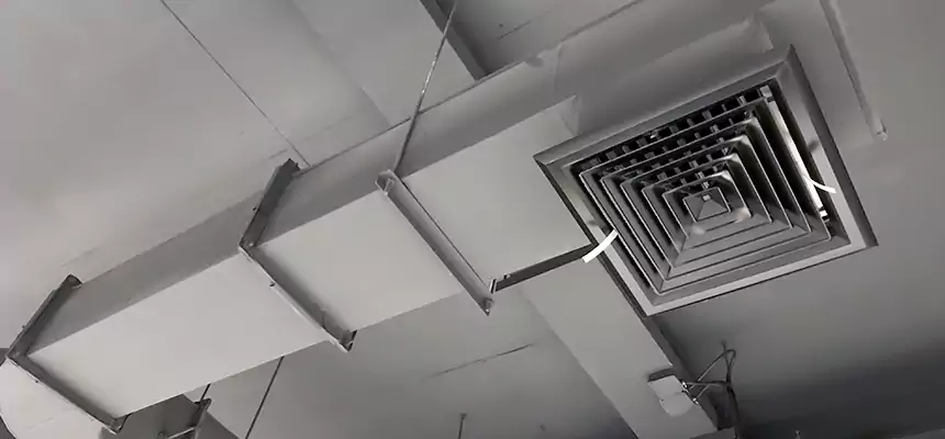 Our Pest Removal From Ducts Services in Hannibal, MO