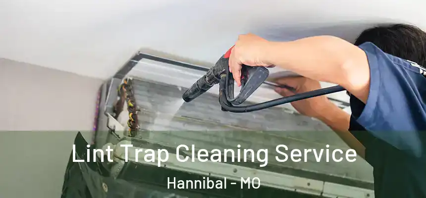  Lint Trap Cleaning Service Hannibal - MO