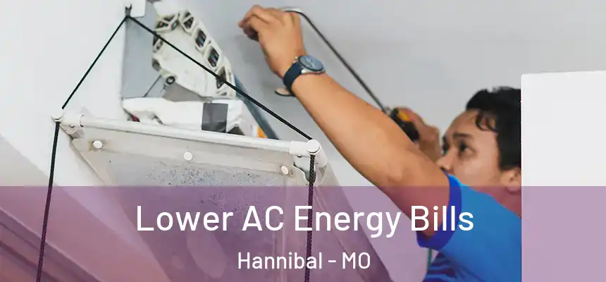  Lower AC Energy Bills Hannibal - MO
