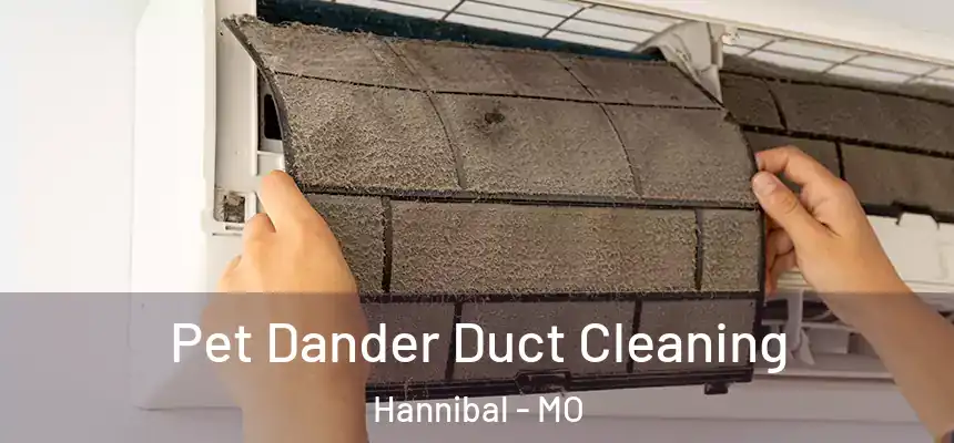  Pet Dander Duct Cleaning Hannibal - MO