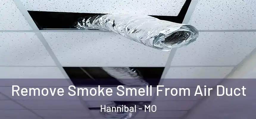  Remove Smoke Smell From Air Duct Hannibal - MO