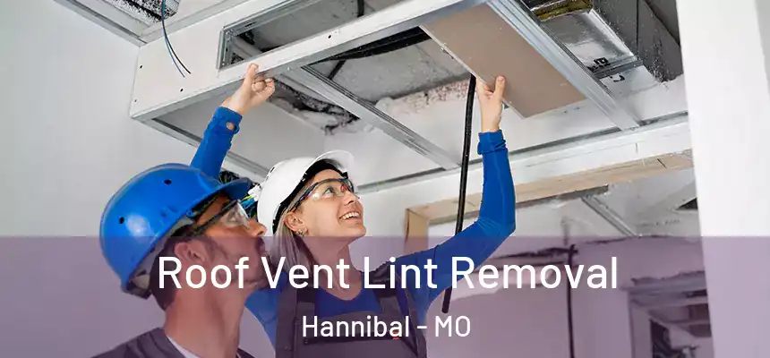  Roof Vent Lint Removal Hannibal - MO
