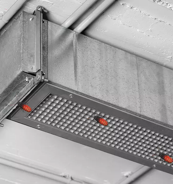 About Air Duct Cockroach Removal in Hannibal, MO