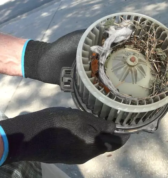 About Air Duct Mice Removal in Hannibal, MO