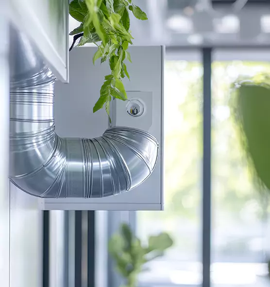 Professional Eco-Friendly Duct Cleaning Services in Hannibal, MO