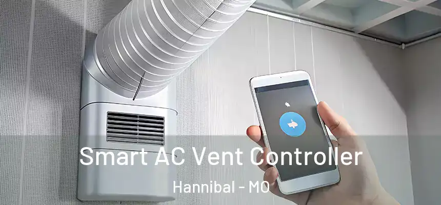  Smart AC Vent Controller Hannibal - MO